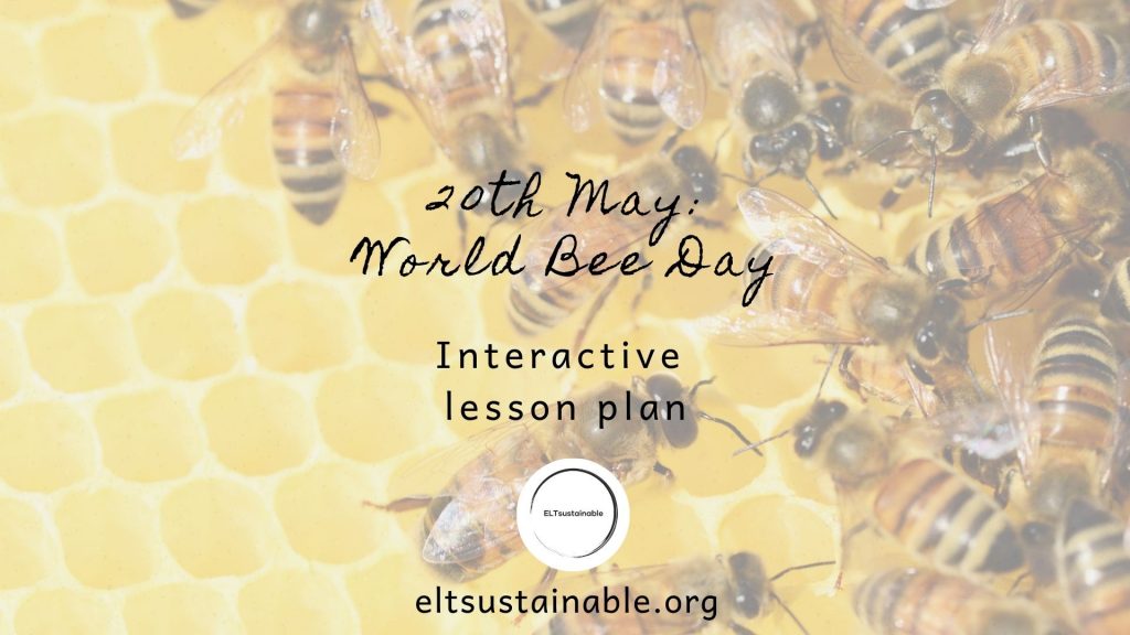 World Bee Day Lesson for 20th May